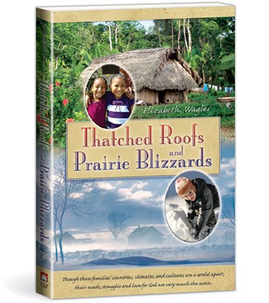 Stock image for Thatched Roofs and Prairie Blizzards for sale by ThriftBooks-Atlanta