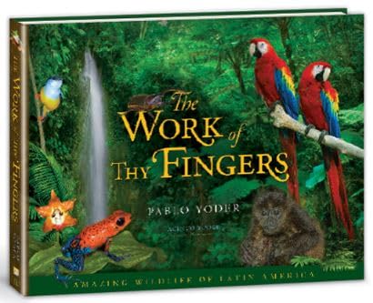 Stock image for The Work of Thy Fingers for sale by GF Books, Inc.