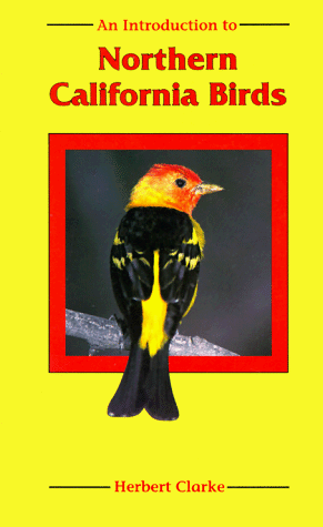 An Introduction to Northern California Birds (9780878423125) by Clarke, Herbert