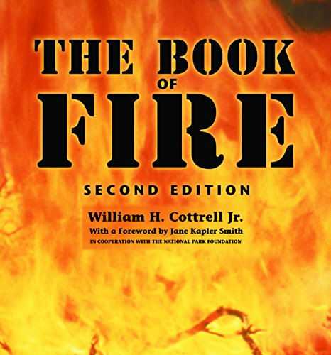 Imagen de archivo de Book of Fire a la venta por Goodwill Books