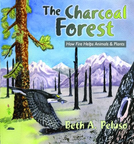 Beispielbild fr The Charcoal Forest : How Fire Helps Animals and Plants zum Verkauf von Better World Books: West
