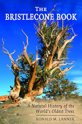 Beispielbild fr Bristlecone Book: A Natural History of the World's Oldest Trees zum Verkauf von Books From California