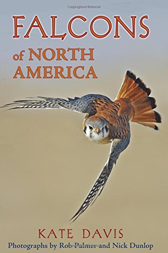 Beispielbild fr Falcons of North America zum Verkauf von Goodwill of Colorado