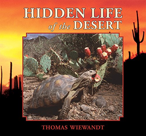 Stock image for Hidden Life of the Desert for sale by SecondSale