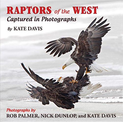 Imagen de archivo de Raptors of the West: Captured in Photographs a la venta por ThriftBooks-Atlanta