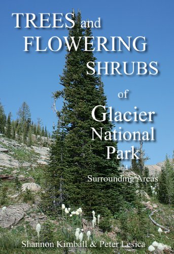 Stock image for Trees & Shrubs of Glacier National Park and Surrounding Areas for sale by St Vincent de Paul of Lane County
