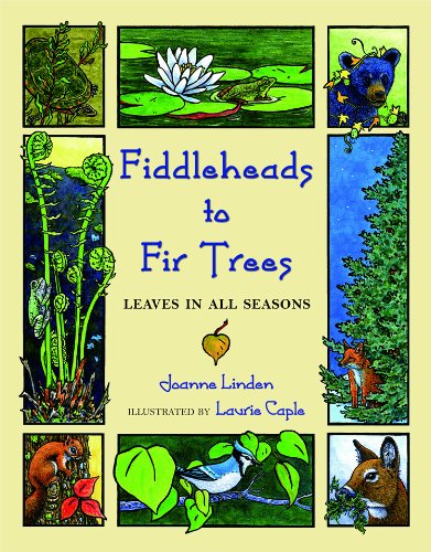 Beispielbild fr Fiddleheads to Fir Trees: Leaves in All Seasons zum Verkauf von Wonder Book