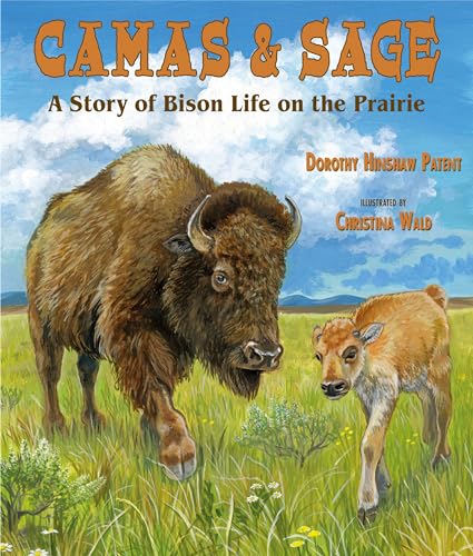 Stock image for Camas & Sage: A Story of Bison Life on the Prairie for sale by Your Online Bookstore