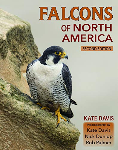 Stock image for Falcons of North America for sale by Solomon's Mine Books