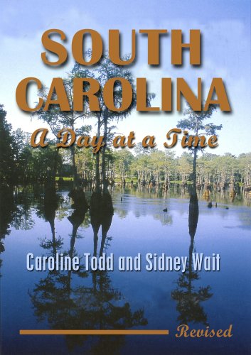 Stock image for South Carolina, a Day at a Time for sale by SecondSale