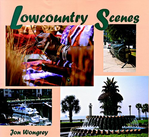 Stock image for Lowcountry Scenes for sale by BooksRun