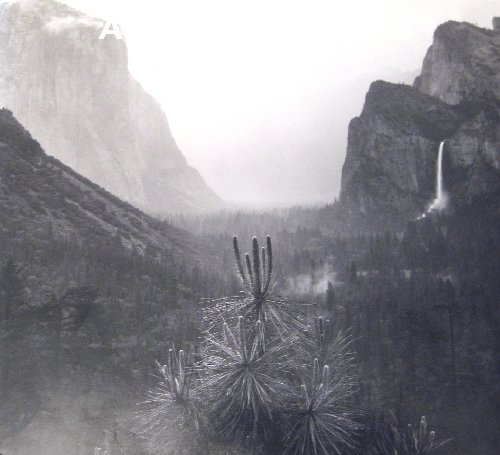 Imagen de archivo de Ansel Adams: In the Lane Collection. a la venta por Hafa Adai Books