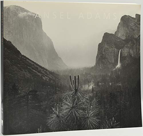 Stock image for Ansel Adams: In the Lane Collection for sale by My Dead Aunt's Books