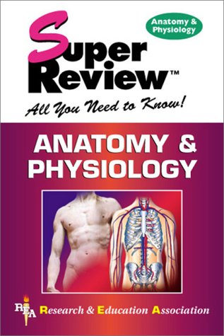 Stock image for Anatomy & Physiology Super Review for sale by Once Upon A Time Books