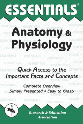 Imagen de archivo de Anatomy and Physiology (Essential Series) a la venta por AwesomeBooks