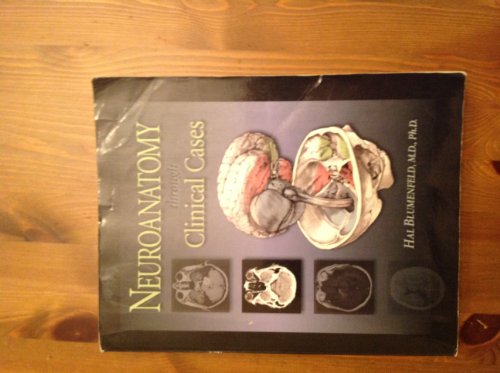 Imagen de archivo de Neuroanatomy (Blumenfeld,Neuroanatomy through Clinical Cases) a la venta por HPB-Red