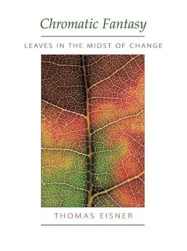 Stock image for Chromatic Fantasy. Leaves in the Midst of Change for sale by Valley Books