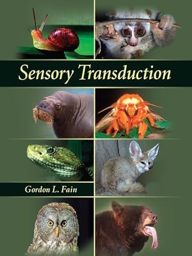 Stock image for Sensory Transduction for sale by Better World Books