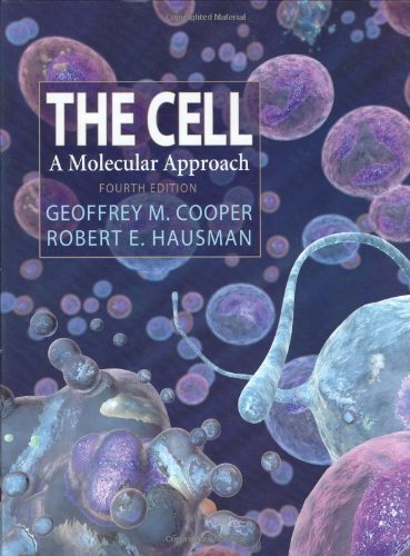Beispielbild fr The Cell: A Molecular Approach, Fourth Edition zum Verkauf von BooksRun