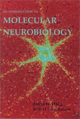 Beispielbild fr An Introduction to Molecular Neurobiology zum Verkauf von The Warm Springs Book Company