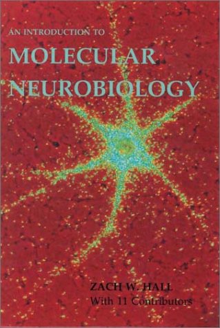 Imagen de archivo de An Introduction to Molecular Neurobiology a la venta por The Warm Springs Book Company