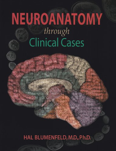 9780878933822: Neuroanatomy Through Clinical Cases 2nd Ed + Neuroscience 4th Ed