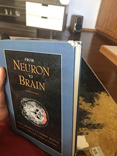 From Neuron to Brain: A Cellular and Molecular Approach to the Function of the Nervous System, Fourth Edition (9780878934393) by John G. Nicholls; A. Robert Martin; Bruce G. Wallace; Paul A. Fuchs