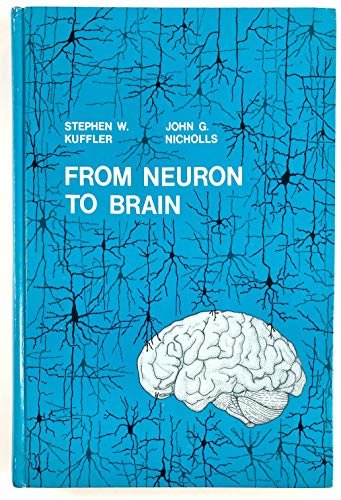 Beispielbild fr From Neuron to Brain : A Cellular Approach to the Function of the Nervous System zum Verkauf von Better World Books