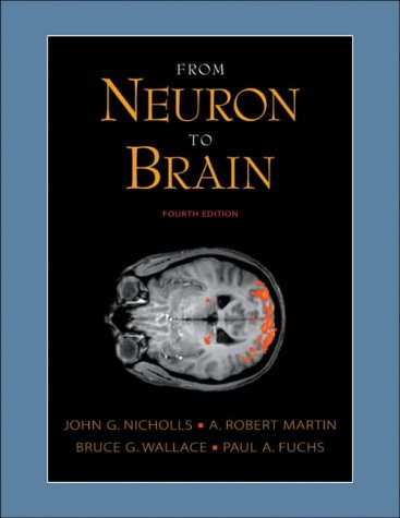 9780878935819: From Neuron to Brain: A Cellular and Molecular Approach to the Function of the Nervous System