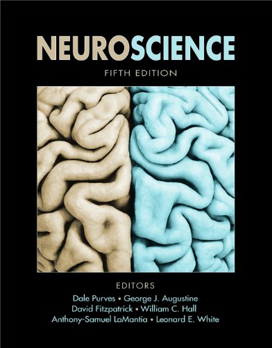 Imagen de archivo de Neuroscience a la venta por HPB-Red