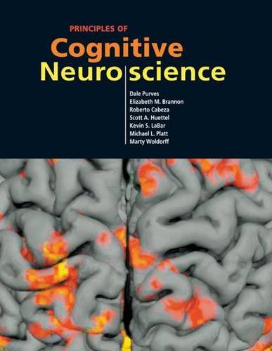 9780878936946: Principles of Cognitive Neuroscience