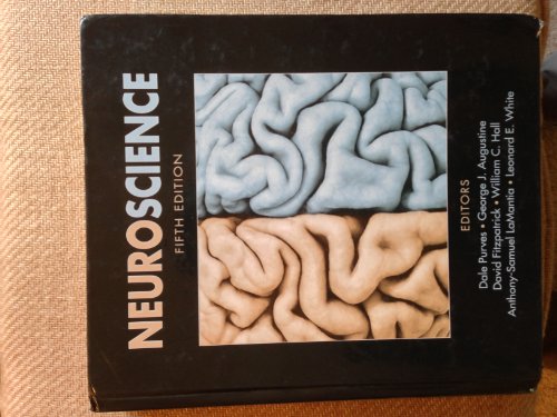 Stock image for Neuroscience for sale by ICTBooks