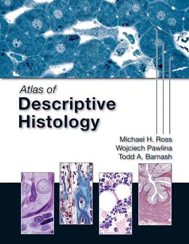 Stock image for Atlas of Descriptive Histology for sale by SecondSale