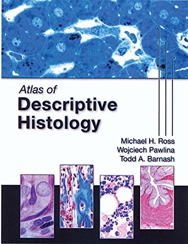 9780878936960: Atlas of Descriptive Histology