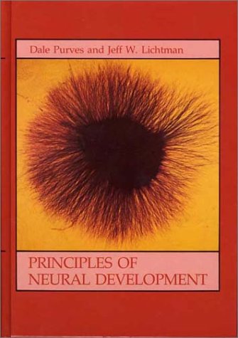 Beispielbild fr Principles of Neural Development zum Verkauf von Better World Books