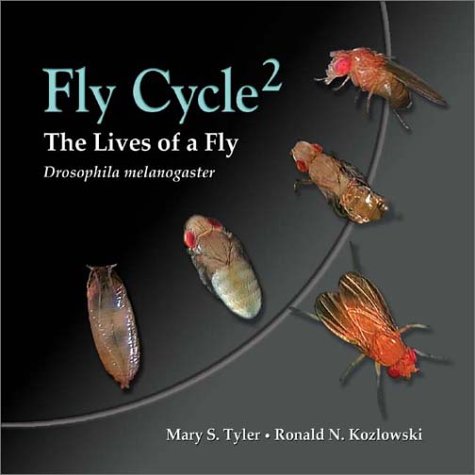 Flycycle 2: Lives of a Fly (9780878938483) by Tyler, Mary S.; Kozlowski, Ronald N.
