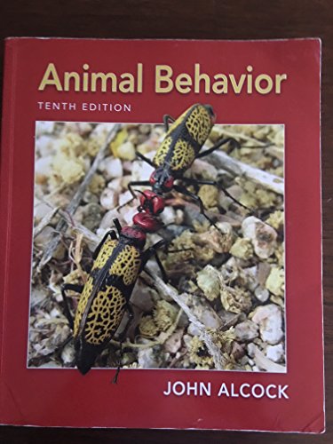 Beispielbild fr Animal Behavior: An Evolutionary Approach zum Verkauf von Anybook.com