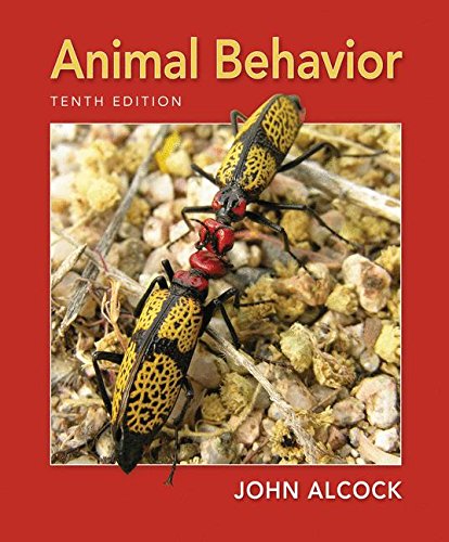 Stock image for Animal Behavior: An Evolutionary Approach for sale by HPB-Red