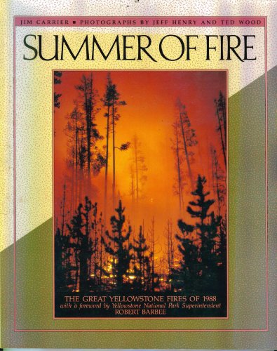 Beispielbild fr Summer of Fire zum Verkauf von Lowry's Books