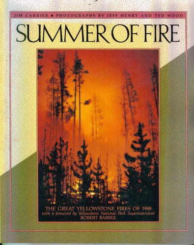 Imagen de archivo de Summer of Fire a la venta por Lowry's Books