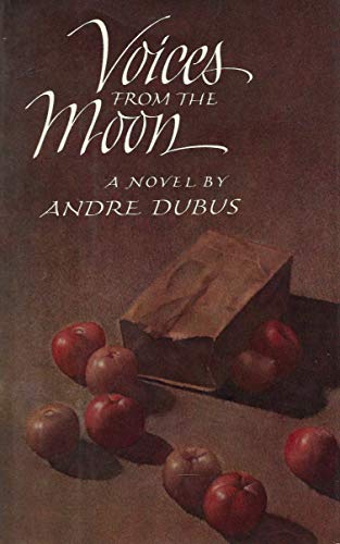 Stock image for Voices from the Moon (First Edition) for sale by Dan Pope Books