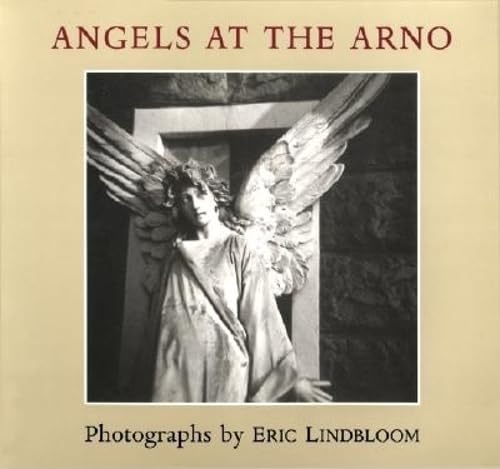 Imagen de archivo de Angels at the Arno a la venta por Montana Book Company