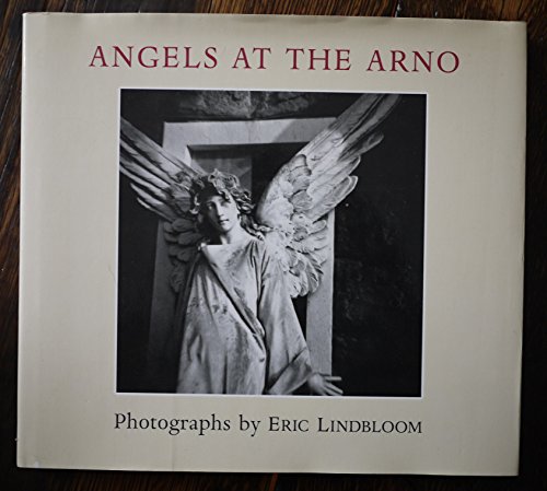 Stock image for Angels at the Arno for sale by Montana Book Company