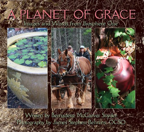 Stock image for Planet of Grace, A: Images and Words from Biosphere One for sale by THE OLD LIBRARY SHOP