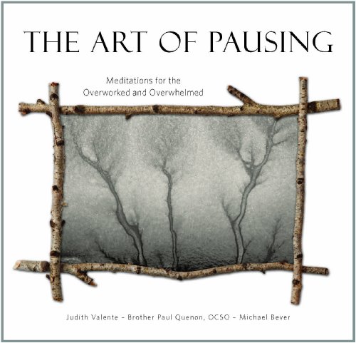Beispielbild fr The Art of Pausing zum Verkauf von Half Price Books Inc.