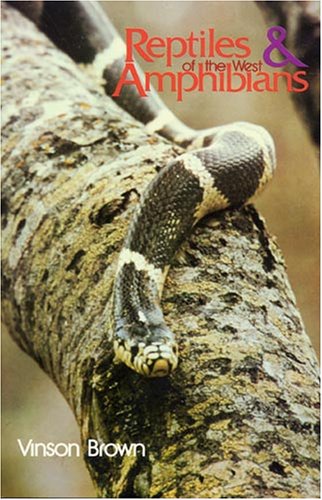 Stock image for Reptiles and Amphibians of the West for sale by Better World Books: West