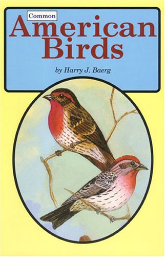 Beispielbild fr Common American Birds zum Verkauf von Reuseabook