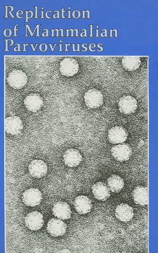 Stock image for Replication of Mammalian Parvoviruses for sale by Wonder Book