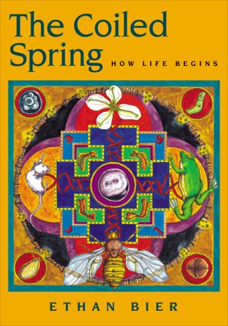 Imagen de archivo de The Coiled Spring : How Life Begins a la venta por Better World Books