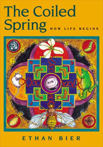 Stock image for The Coiled Spring : How Life Begins for sale by Better World Books